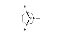 (1R,5S)-3-methyl-3,8-diazabicyclo[3.2.1]octane